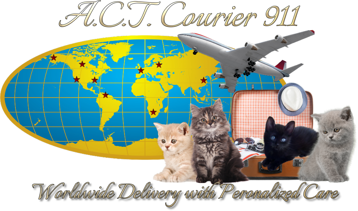 A.C.T. Courier 911
