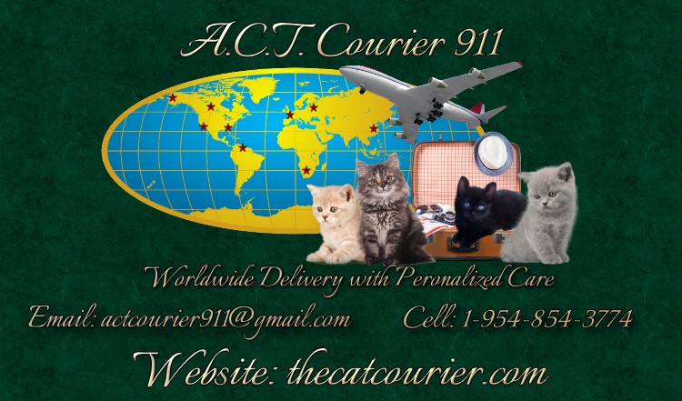 ACT Courier 911 link back banner